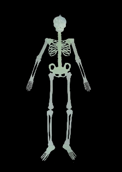 SCHELETRO IN PLASTICA FLUORESCENTE PER DECORAZIONI DI HALLOWEEN